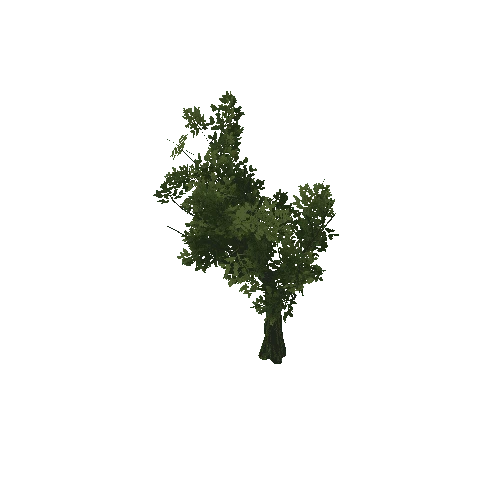 HVR Tree V02 T01 C01